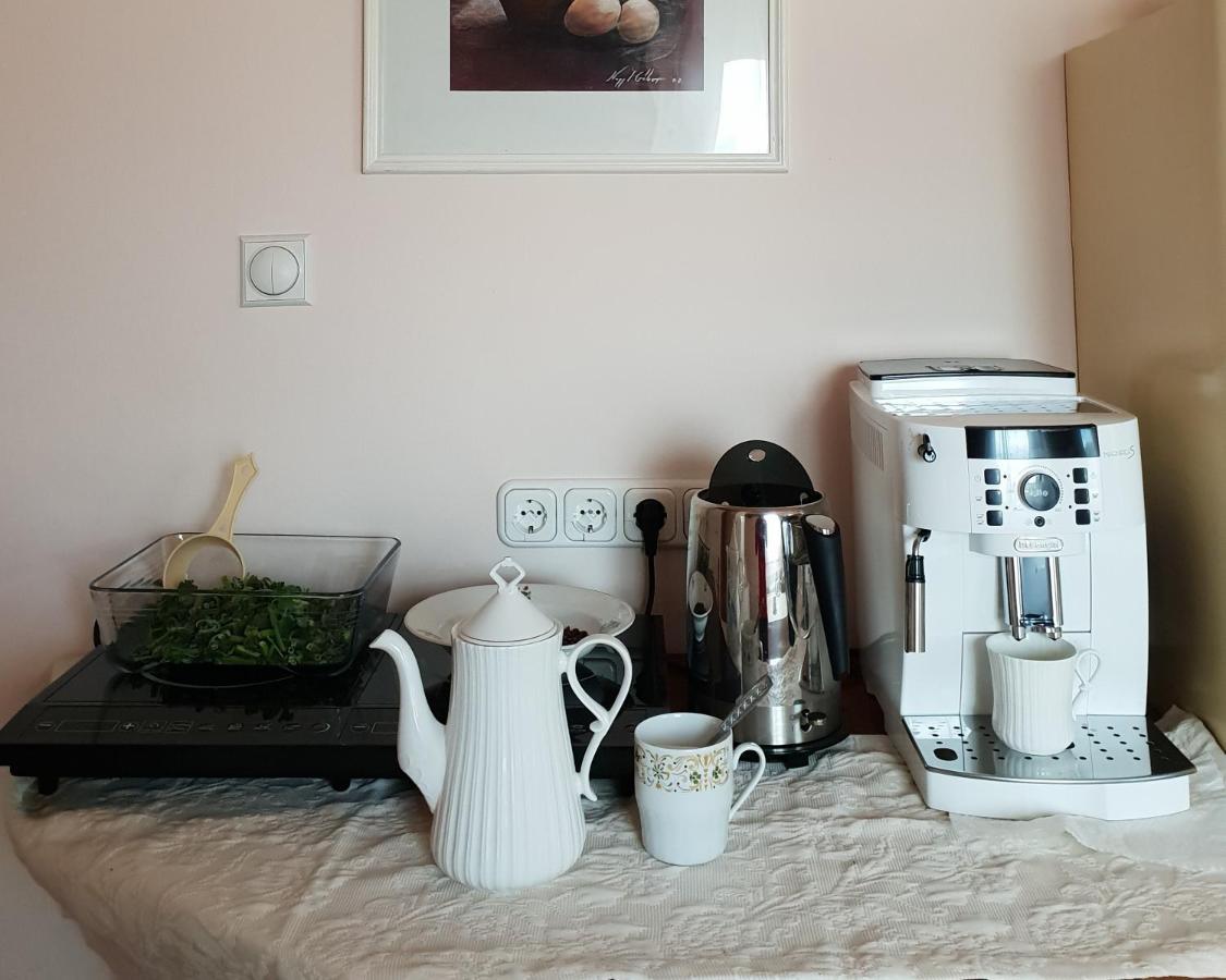 Antal Apartmans Lunca De Sus Kulcsoshaz Gyimesfelsolok Luaran gambar